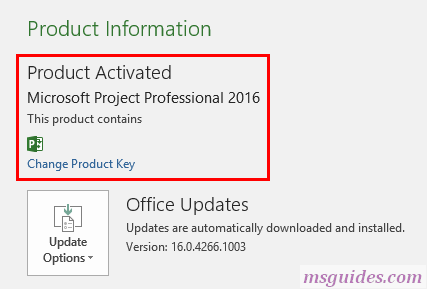 setting up microsoft project professional 2016